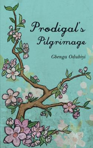 Könyv Prodigal's Pilgrimage Gbenga Odubiyi