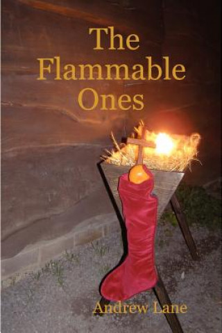 Knjiga Flammable Ones Lane