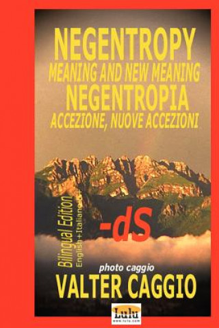 Kniha NEGENTROPY Meaning and New Meaning NEGENTROPIA Accezione, Nuove Accezioni Caggio