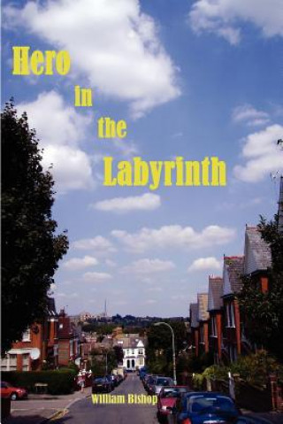 Boek Hero in the Labyrinth William Bishop