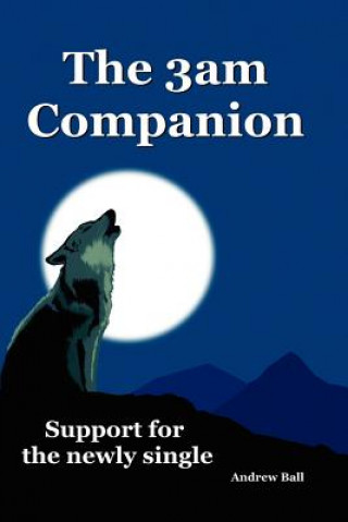 Book 3am Companion - Support for the Newly Single Ball