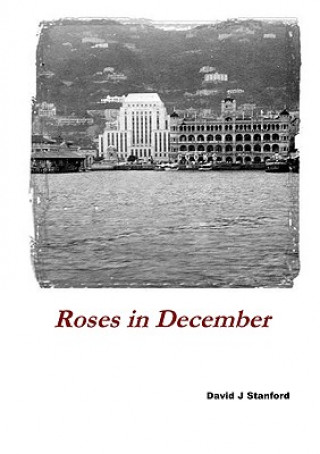 Carte Roses in December David Stanford