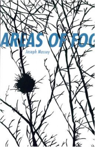 Книга Areas of Fog Joseph Massey