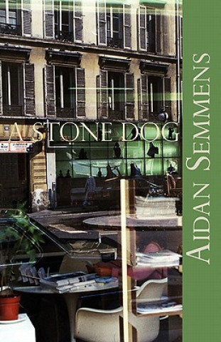 Kniha Stone Dog Aidan Semmens