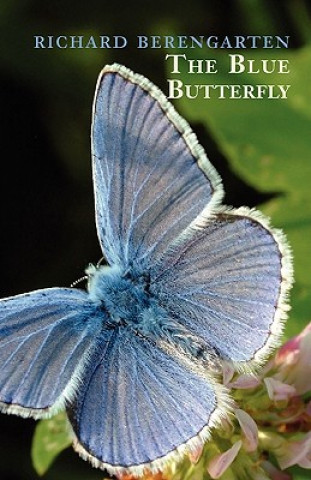 Kniha Blue Butterfly Richard Burns