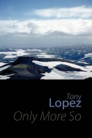 Book Only More So Tony Lopez