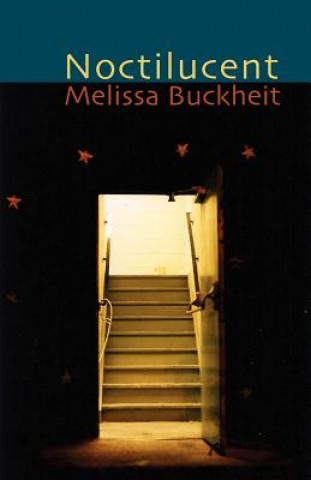 Книга Noctilucent Melissa Buckheit