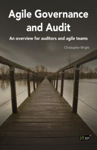 Kniha Agile Governance and Audit Christopher Wright