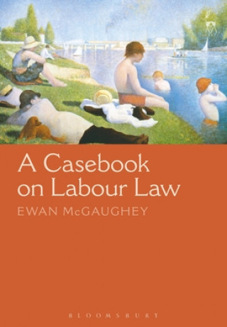 Kniha Casebook on Labour Law MCGAUGHEY EWAN