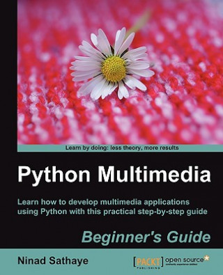 Kniha Python Multimedia Beginner's Guide Ninad Sathaye