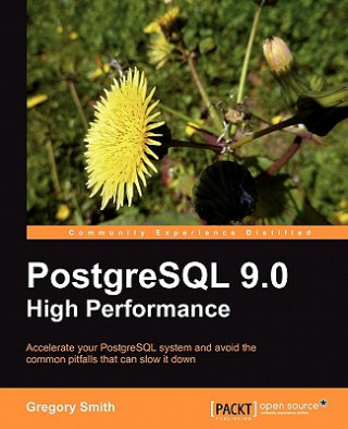 Kniha PostgreSQL 9.0 High Performance G. Smith