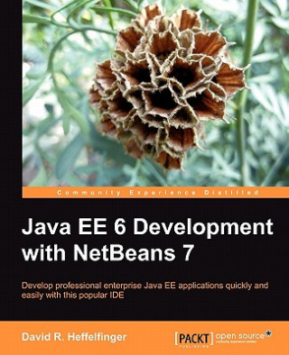 Kniha Java EE 6 Development with NetBeans 7 David R. Heffelfinger