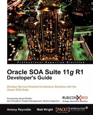 Kniha Oracle SOA Suite 11g R1 Developer's Guide A. Reynolds