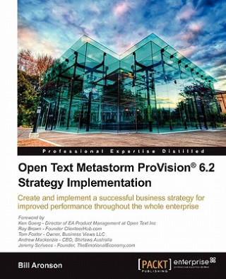 Kniha Open Text Metastorm ProVision (R) 6.2 Strategy Implementation Bill Aronson