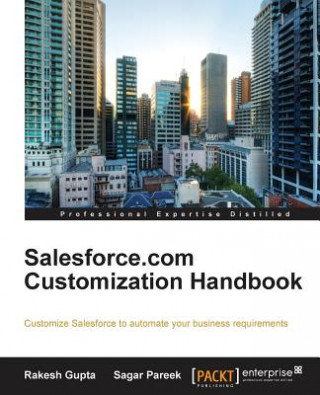 Knjiga Salesforce.com Customization Handbook Rakesh Gupta