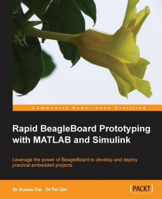 Kniha Rapid BeagleBoard Prototyping with MATLAB and Simulink Xuewu Dai