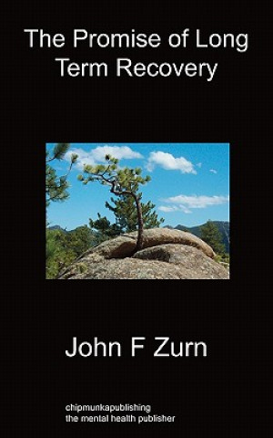 E-kniha Promise of Long Term Recovery John Zurn