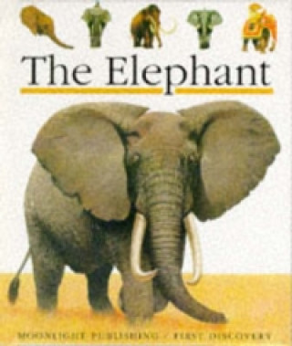 Könyv Elephant James Prunier