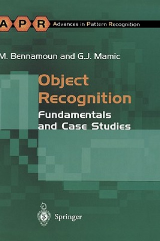 Книга Object Recognition George Mamic