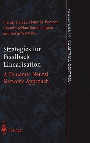 Kniha Strategies for Feedback Linearisation Kevin Warwick