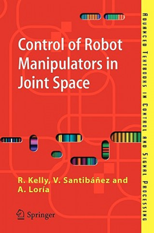 Kniha Control of Robot Manipulators in Joint Space Loria