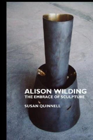 Könyv Alison Wilding Susan Quinnell