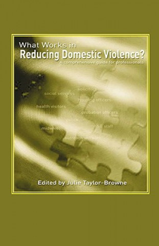 Buch What Works in Reducing Domestic Violence Julie Taylor-Browne