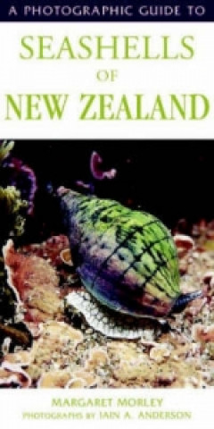 Kniha Photographic Guide To Seashells Of New Zealand Margaret Morley