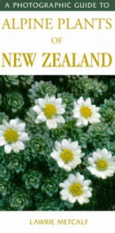 Könyv Photographic Guide To Alpine Plants Of New Zealand Lawrie Metcalf