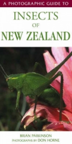 Kniha Photographic Guide To Insects Of New Zealand Brian Parkinson