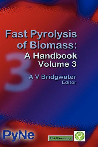 Książka Fast Pyrolysis of Biomass Anthony V Bridgwater