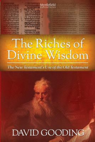 Kniha Riches of Divine Wisdom David W Gooding