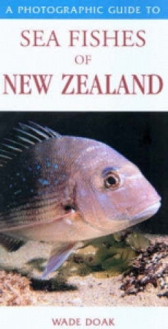 Könyv Photographic Guide To Sea Fishes Of New Zealand Wade Doak
