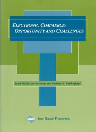 Βιβλίο Electronic Commerce Mike Raisinghani