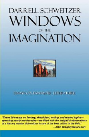 Carte Windows of the Imagination Darrell Schweitzer