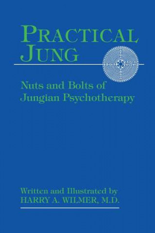 Kniha Practical Jung Harry a Wilmer