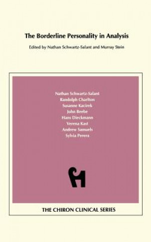 Knjiga Borderline Personality in Analysis (Chiron Clinical Series) Nathan Schwartz-Salant