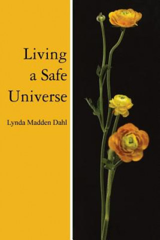 Könyv Living a Safe Universe Lynda Madden Dahl