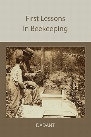 Livre First Lessons in Beekeeping C P Dadant