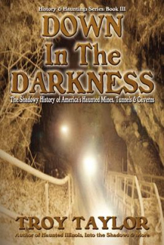 Книга Down in the Darkness Troy Taylor