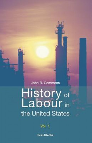 Book History of Labour in the United States E.B. Mittelman