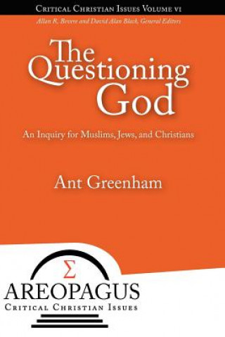 Βιβλίο Questioning God Ant Greenham