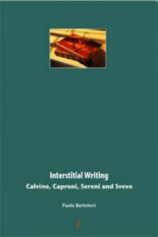 Buch Interstitial Writing Paolo Bartoloni