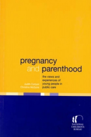 Könyv Pregnancy and Parenthood Christine McGuire