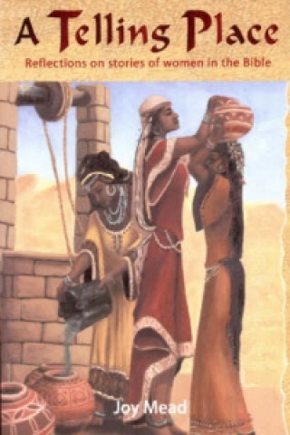 Knjiga Telling Place Joy Mead