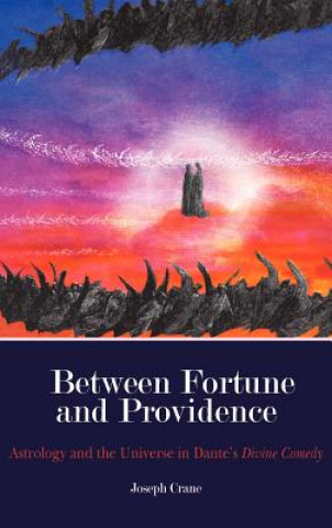 Βιβλίο Between Fortune and Providence Joseph Crane