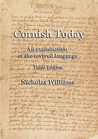 Könyv Cornish Today Nicholas Williams