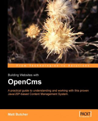 Buch Building Websites with OpenCms Matt Butcher