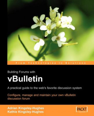 Kniha vBulletin: A Users Guide Kathy Kingsley-Hughes