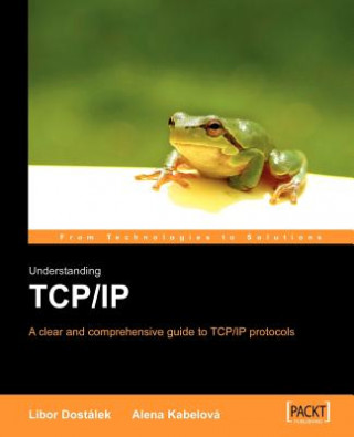 Könyv Understanding TCP/IP Alena Kabelová